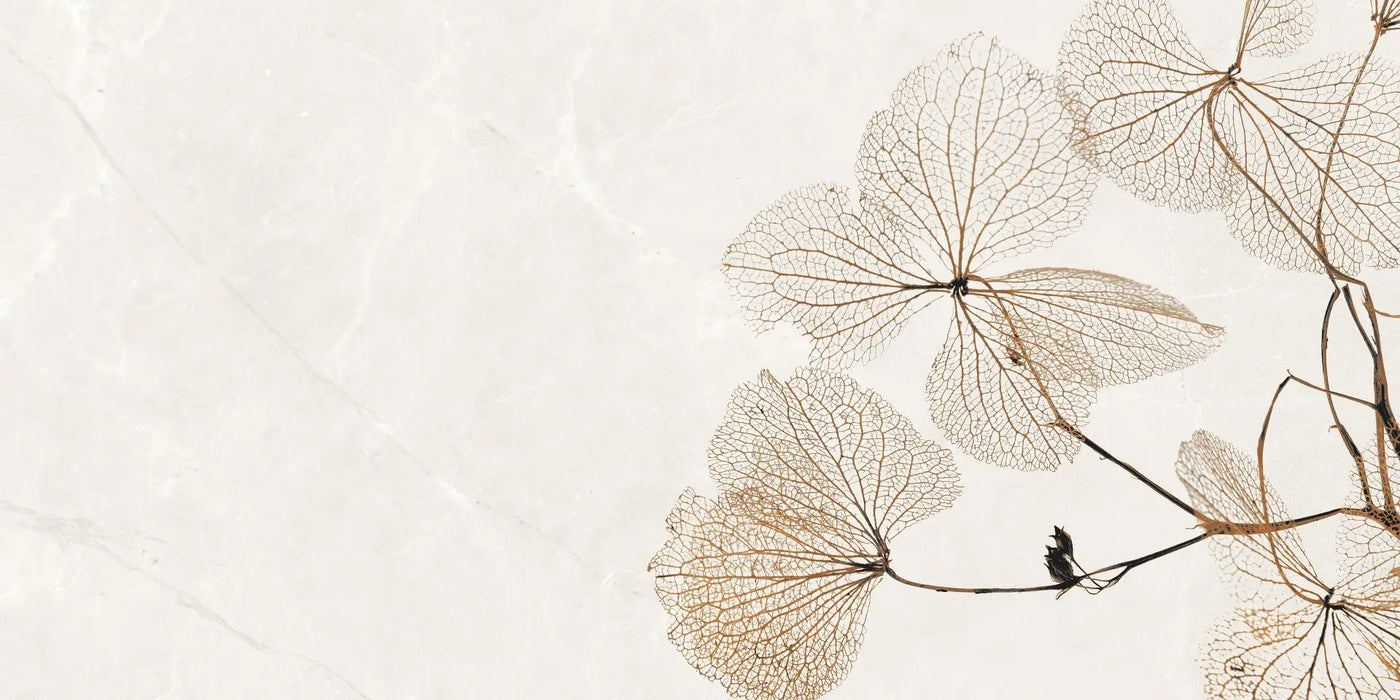 SDH Dry Leaf HL 2